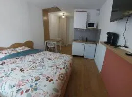 Studio 315 Les Logis, Paray city center