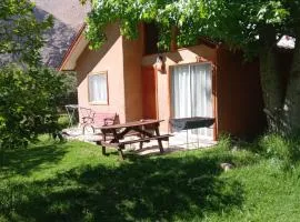 Cabañas Los Sauzales del Elqui