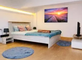 Central New Loft