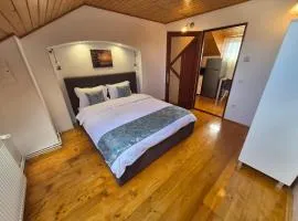 Apartament central Targu Mures