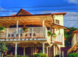 Хотел "Лодката", hotel with parking in Tutrakan