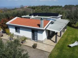 Villa San Pellegrino in the Olive Grove