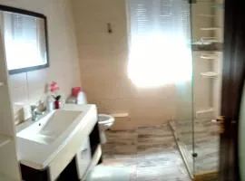 Vila Castelul Grecilor Visan