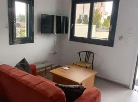 Maria 6 Minimalist newly built townhouse