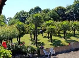 Chambre d'hote La Palmeraie