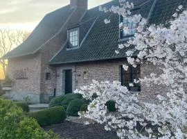 Vakantiehuis Vloethem