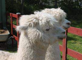 Goenn-dir-eine-Auszeit-mit-Familie-und-Sauna, מלון בWangels