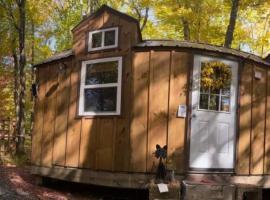 Tiny Cat Country Cabin, Hotel in Grahamsville