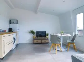 Le Magellanic Garden