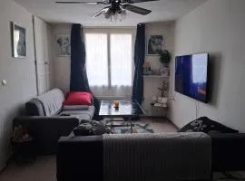 Appartement 2 pièces centre ville