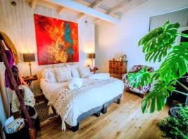 Hau Lodge Malalcahuello Corralco Starlink