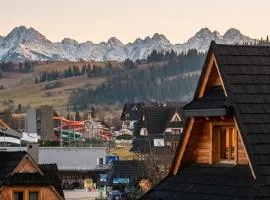 Domki w Białce pod Kotelnicą - blisko stoku