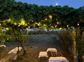 Residence LA RONDINE