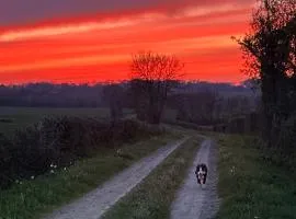 Gîte du Rossignol à 5 minutes du Château de la Citardière et à 14 minutes du Château de Bourneau