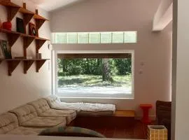 Maison nature et océan, Calme et forêt