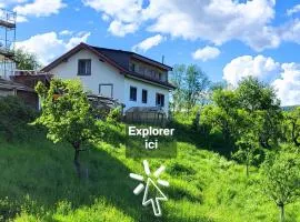Coeurvert Calme en clairière - Ruhe in der Waldlichtung - Forest clearing stillness