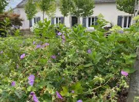 A la terre ferme