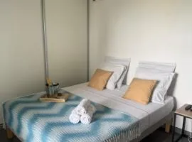 Le chic Amazonian - Appartement moderne à Baduel, climatisé, parking, wifi, résidence calme