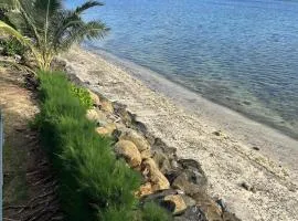 Toreaiva 91 Beachfront Studios