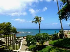 Ocean View Napili Point Condo 1BR - Unit B38 condo