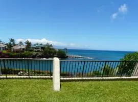 Napili Point Oceanfront Turtle View 1BR - Unit B30 condo