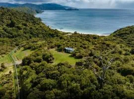 Hananui PurePod