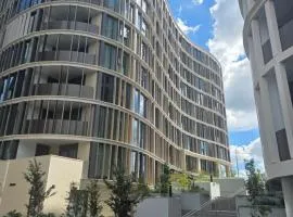 1 bedroom apartment in city