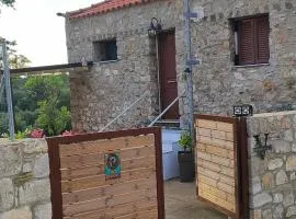 Vaki's country house