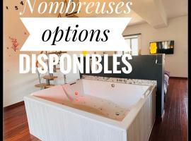 Ecrin de bien-être proche Viarhôna et Walibi โรงแรมในSaint-Victor-de-Morestel