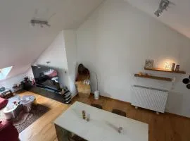 Cozy Studio in Mechelen by Studio Pila