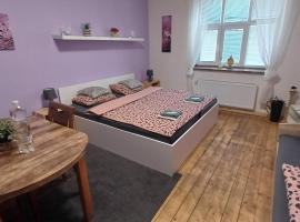 Ubytovaní U Dvora, hotel a Bohumín