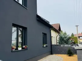 Stylish new "PLAYGROUND" flat with Bondage Cross & Private fitness in new family house