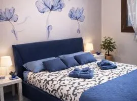 La Casa Blu- Forum di Assago, Humanitas, Milanofiori, IEO