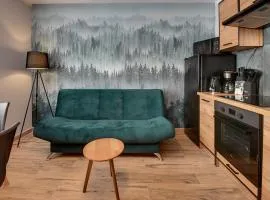RentPlanet - Apartament Czecha