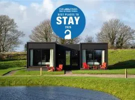 Mad Swans in The Mendips