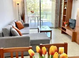 APARTBEACH CHLOE CON GRAN TERRAZA JUNTO PLAYA