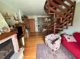 Appartamento bambi abetone