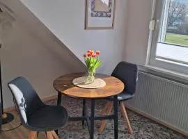 Apartment Ohrbergblick