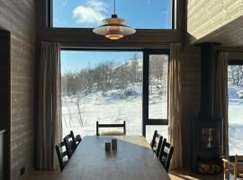 New cabin at Fidjeland with ski-in ski-out – hotel w mieście Dirdal