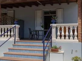900 Dal Blu