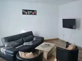 Schöne Vollausgestattete Monteurs- Gästewohnung nähe Raffinerie Leuna und Geiseltalsee 0305