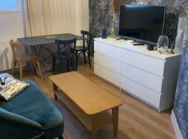 Au trésor de Rose étage privatif chic dans maison