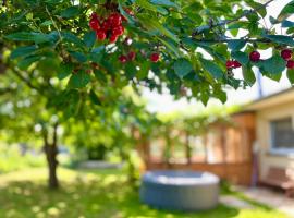 Art gallery near Pardubice, hotel a Mateřov