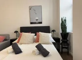 Central Renovated Premium Apartment with Free Parking