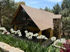Chalet 8 Cabañas Puerta del Bosque