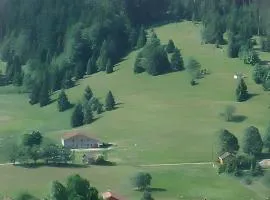 Gite Brimbelle - La Petite Meurthe