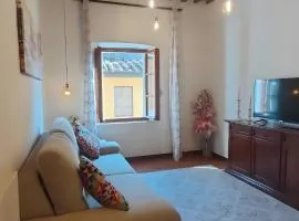 Casa Ilaria Vicopisano