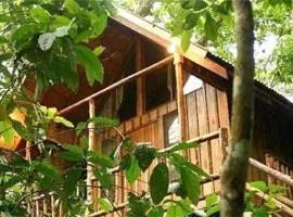 Bayrams Tree Houses、オリンポスのバンガロー