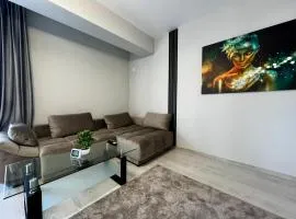 Astryn Aparthotel 9#NorthBucharest