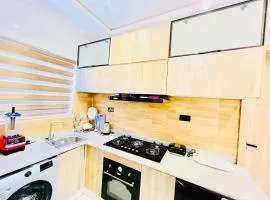 One bedroom apartment lekki
